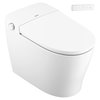 Moen ETOILET UPGRADE ET1300